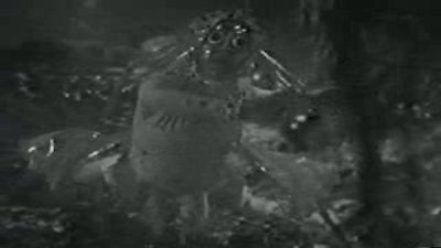 Doctor Who (1963) Season 4 Episode 20
