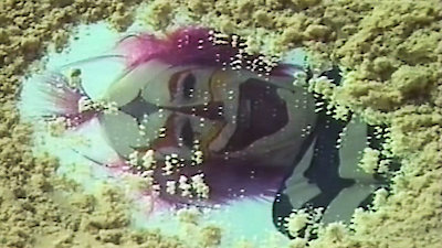 Doctor Who (1963) Season 14 Episode 11