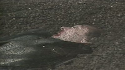 Doctor Who (1963) Season 21 Episode 9