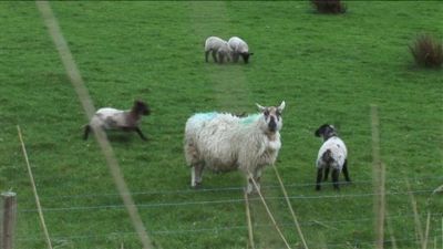 Travel with Kids Season 3 Episode 11