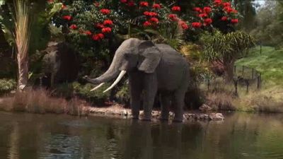 Travel with Kids Season 4 Episode 4