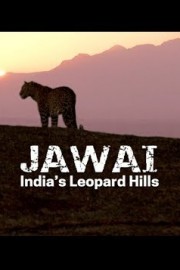 Jawai: India's Leopard Hills
