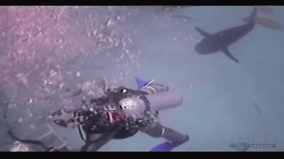 MythBusters Season 3 Episode 17