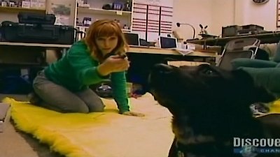 MythBusters Season 4 Episode 15