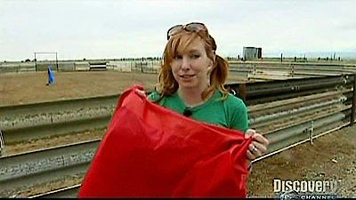 MythBusters Season 5 Episode 16