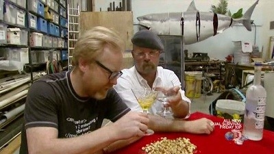 MythBusters Season 8 Episode 13