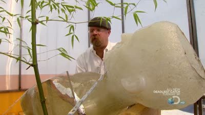MythBusters Season 8 Episode 16