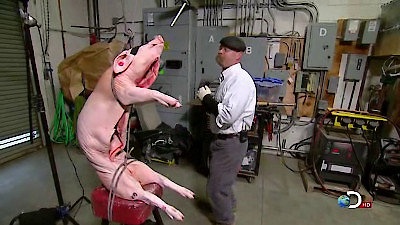 MythBusters Season 10 Episode 6