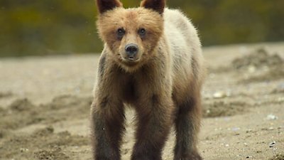 Wild Babies Season 1 Episode 8