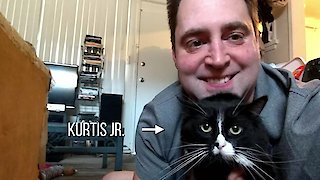 my cat from hell season 9 episode 8