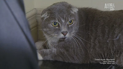 My Cat From Hell Season 4 Episode 4