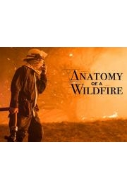 Anatomy Of A Wildfire