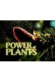 Power of Plants