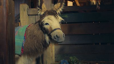 Lovely Little Farm Season 2 Episode 5