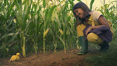 Lovely Little Farm Season 2 Episode 7