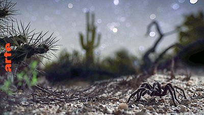 America's Wild Seasons Season 1 Episode 2