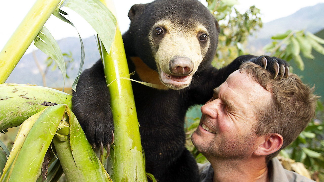 Bears About the House