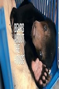 Bears About the House