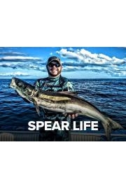 Spear Life