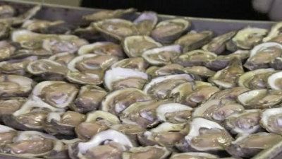 Man v. Food Nation Season 1 Episode 6