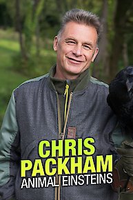 Chris Packham's Animal Einsteins
