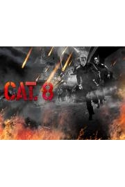 CAT 8: Series