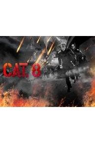 CAT 8: Series