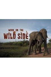 Work on the Wild Side