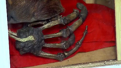 Finding Bigfoot Season 5 Episode 7