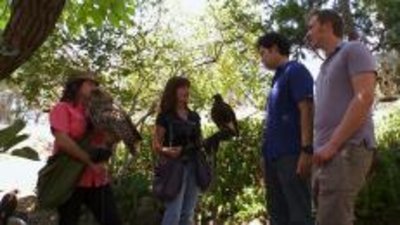 Mancations Season 1 Episode 6