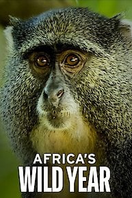 Africa's Wild Year