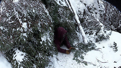 Alone: Frozen Season 1 Episode 8