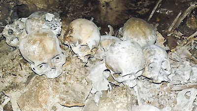 Secrets in the Jungle Season 1 Episode 10