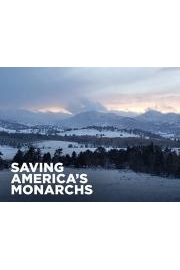 Saving America's Monarchs