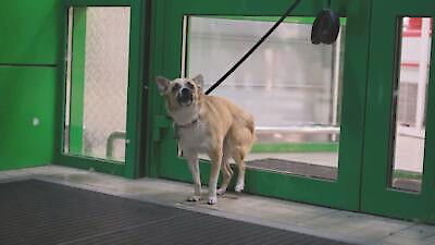 Customer Wars Season 3 Episode 12