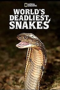 World's Deadliest Snakes