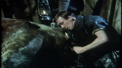 All Creatures Great and Small Season 2 Episode 12