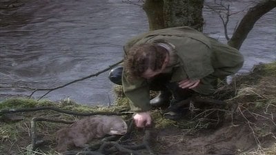 All Creatures Great and Small Season 6 Episode 3