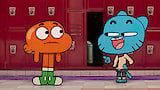 Vote Gumball... and Anyone?