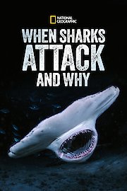 When Sharks Attack... And Why