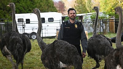 Animal Control Season 1 Episode 1