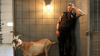 Animal Control Season 3 Episode 3