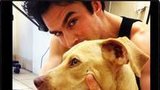 Ian Somerhalder Rescues a Pup!
