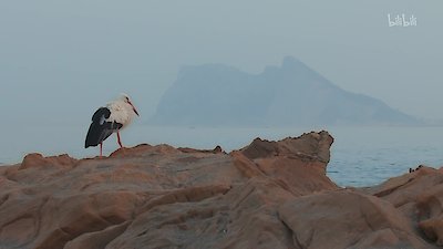 Mediterranean: Life Under Siege Season 1 Episode 1