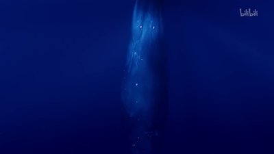 Mediterranean: Life Under Siege Season 1 Episode 2