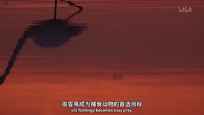 Mediterranean: Life Under Siege Season 1 Episode 4