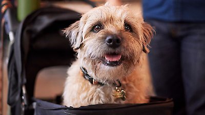 Colin From Accounts Season 2 Episode 7