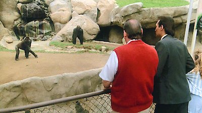 L.A. Law Season 2 Episode 11