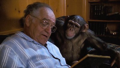 L.A. Law Season 6 Episode 5