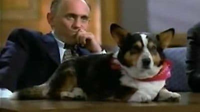 L.A. Law Season 8 Episode 19